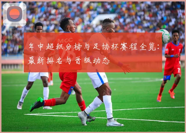 年中超积分榜与足协杯赛程全览:最新排名与晋级动态