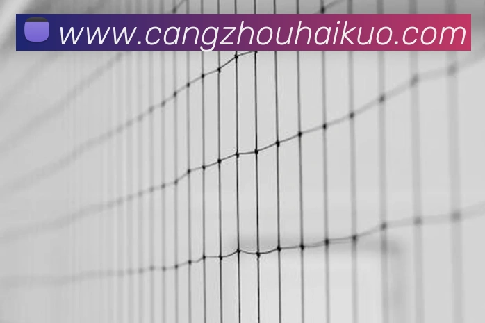 奖项2